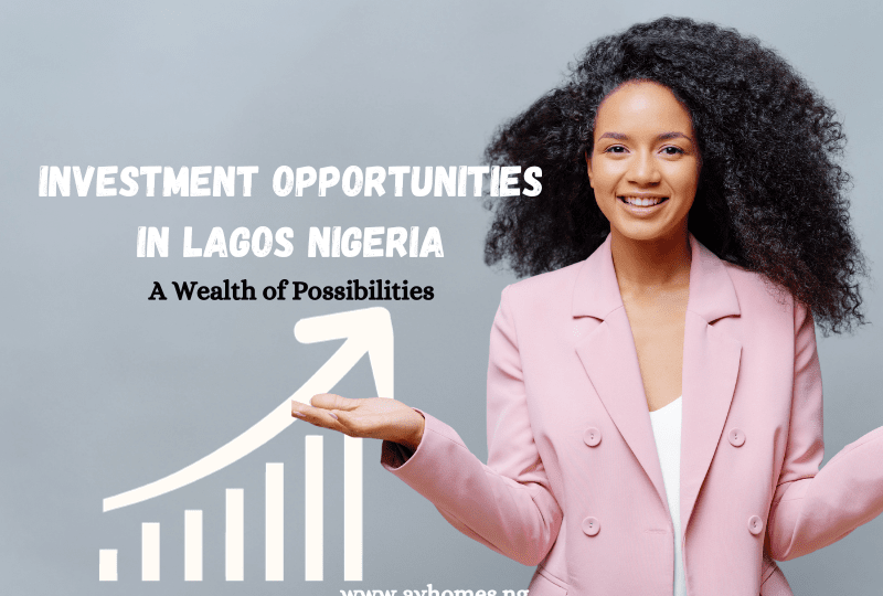 Investment Opportunities in Lagos Nigeria: A Wealth of Possibilities